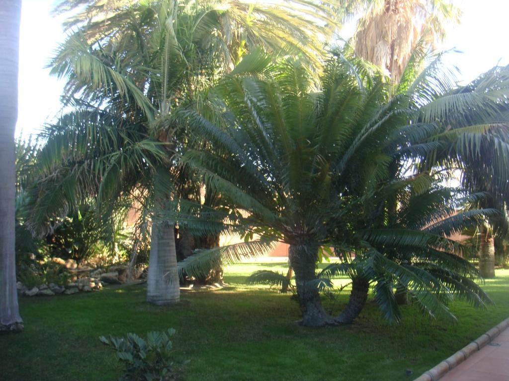 Villa Al Alba Torre Del Mar Εξωτερικό φωτογραφία