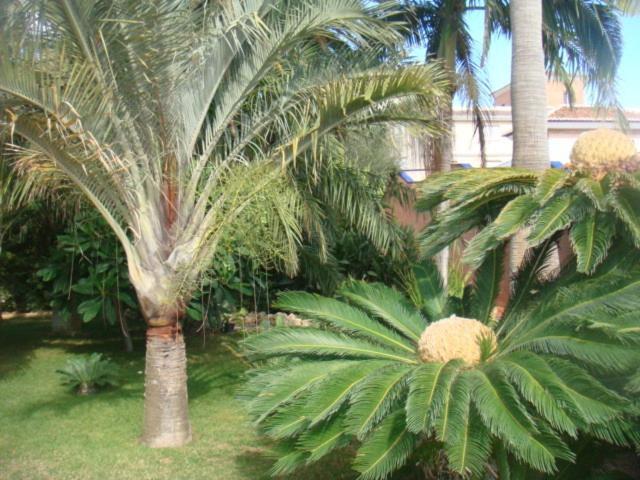 Villa Al Alba Torre Del Mar Εξωτερικό φωτογραφία