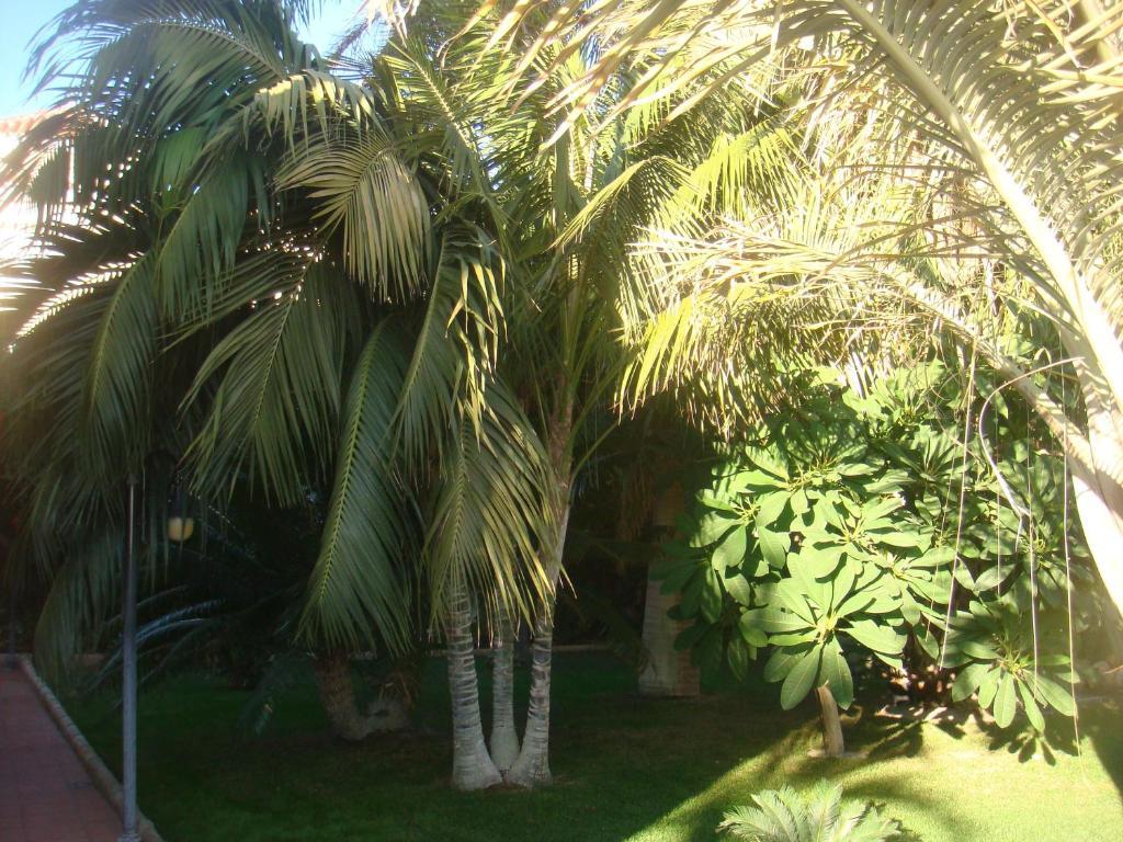 Villa Al Alba Torre Del Mar Εξωτερικό φωτογραφία